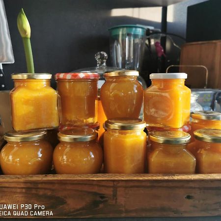 Akuaduulza B&B Como Lake 圣西罗 外观 照片
